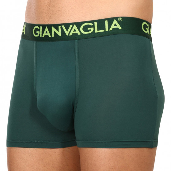 5PACK ανδρικό σορτς μποξεράκι Gianvaglia πολύχρωμο (GVG-5006)