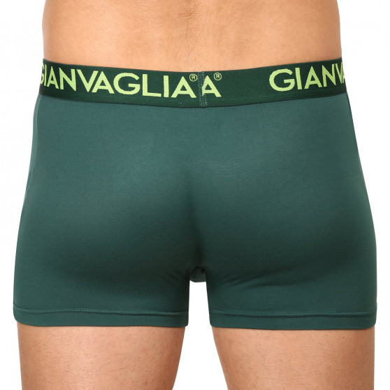 5PACK ανδρικό σορτς μποξεράκι Gianvaglia πολύχρωμο (GVG-5006)