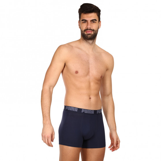 2PACK ανδρικό σορτς μποξεράκι Puma πολύχρωμο (521015001 037)