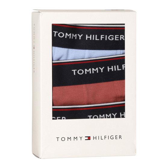 3PACK ανδρικό σορτς μποξεράκι Tommy Hilfiger πολύχρωμο (1U87903842 0Y4)