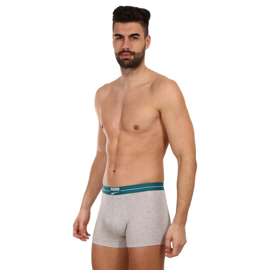 2PACK ανδρικό σορτς μποξεράκι Puma πολύχρωμο (701221415 004)