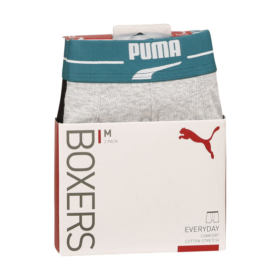 2PACK ανδρικό σορτς μποξεράκι Puma πολύχρωμο (701221415 004)