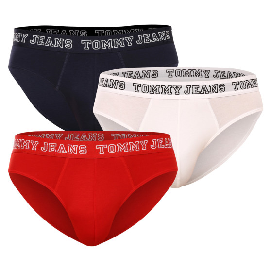 3PACK ανδρικό σλιπ Tommy Hilfiger πολύχρωμο (UM0UM02849 0T6)