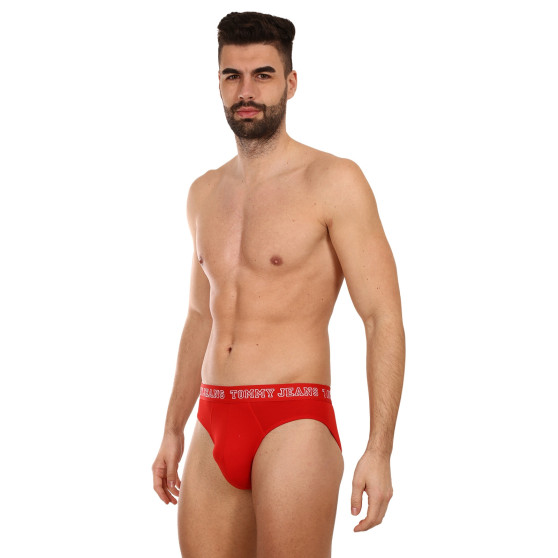 3PACK ανδρικό σλιπ Tommy Hilfiger πολύχρωμο (UM0UM02849 0T6)