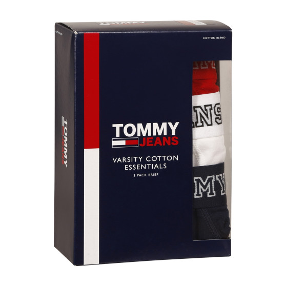 3PACK ανδρικό σλιπ Tommy Hilfiger πολύχρωμο (UM0UM02849 0T6)