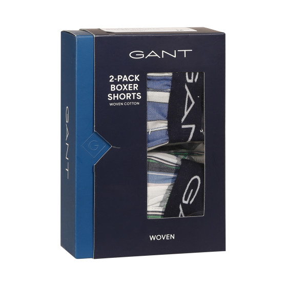 2PACK ανδρικό σορτς Gant πολύχρωμο (902312019-471)