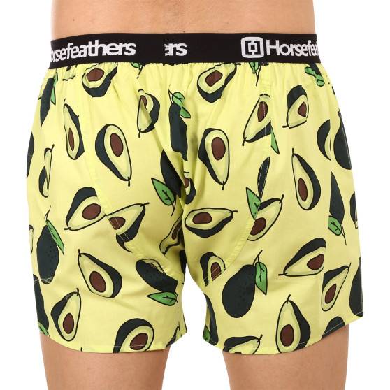 Ανδρικό σορτς Horsefeathers Frazier Avocado (AM166H)