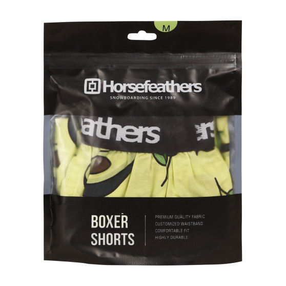 Ανδρικό σορτς Horsefeathers Frazier Avocado (AM166H)