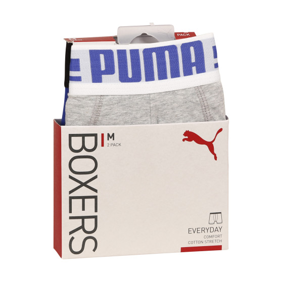 2PACK ανδρικό σορτς μποξεράκι Puma πολύχρωμο (651003001 031)