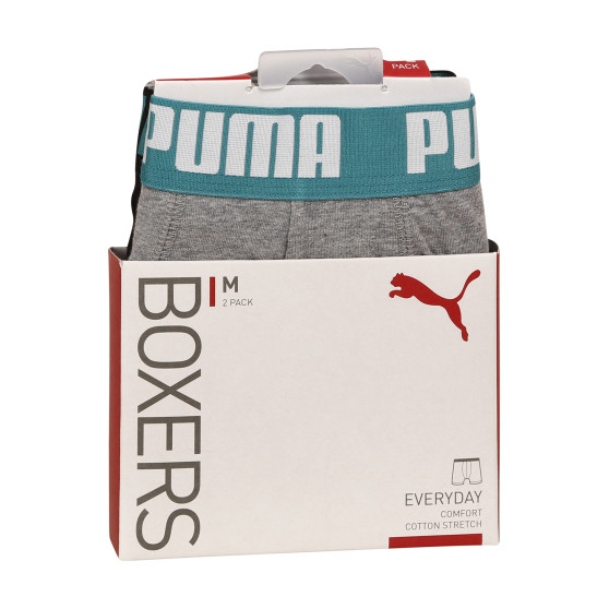 2PACK ανδρικό σορτς μποξεράκι Puma πολύχρωμο (521015001 047)