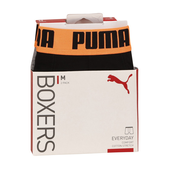 2PACK ανδρικό σορτς μποξεράκι Puma πολύχρωμο (521015001 050)