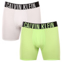 2PACK ανδρικό σορτς μποξεράκι Calvin Klein πολύχρωμο (NB2603A-C2D)