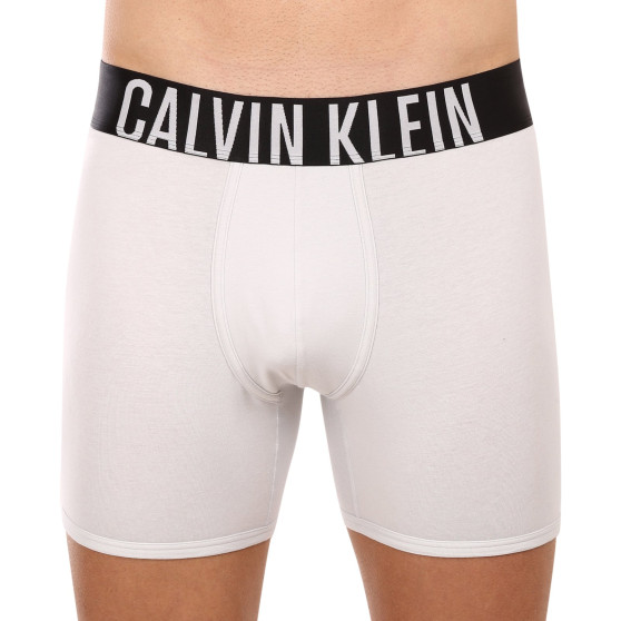 2PACK ανδρικό σορτς μποξεράκι Calvin Klein πολύχρωμο (NB2603A-C2D)