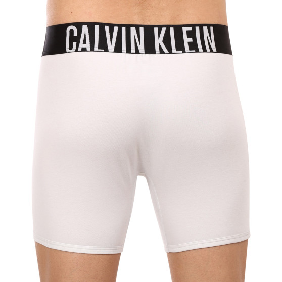 2PACK ανδρικό σορτς μποξεράκι Calvin Klein πολύχρωμο (NB2603A-C2D)