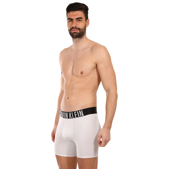 2PACK ανδρικό σορτς μποξεράκι Calvin Klein πολύχρωμο (NB2603A-C2D)