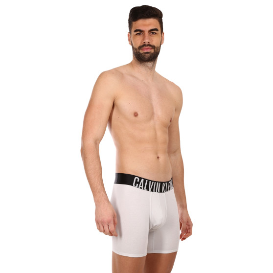 2PACK ανδρικό σορτς μποξεράκι Calvin Klein πολύχρωμο (NB2603A-C2D)