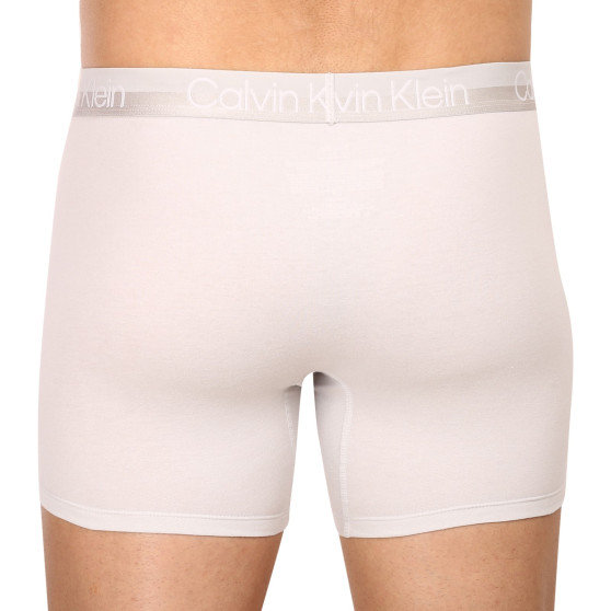 3PACK ανδρικό σορτς μποξεράκι Calvin Klein πολύχρωμο (NB2971A-CBC)