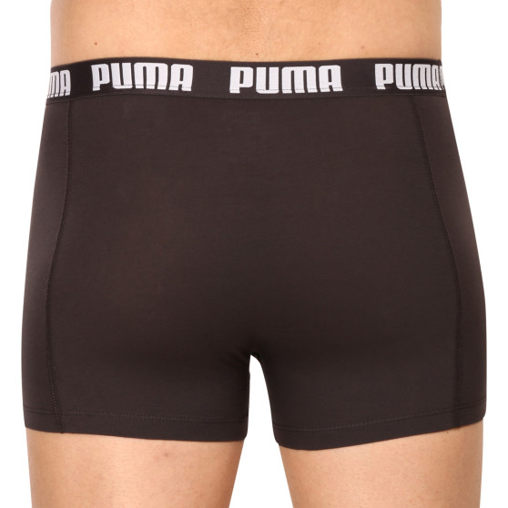 3PACK ανδρικό σορτς μποξεράκι Puma πολύχρωμο (701206546 004)