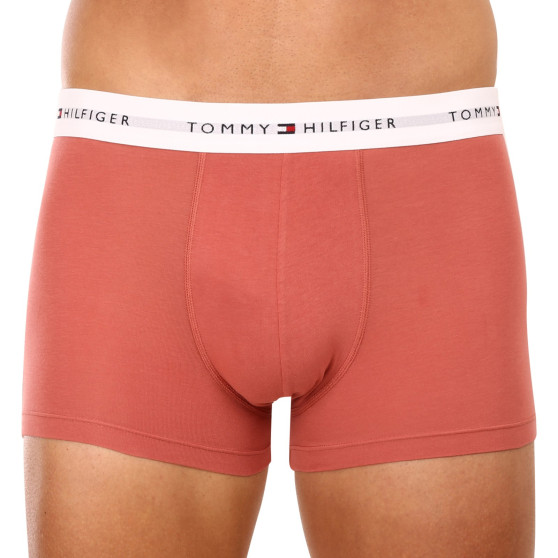 3PACK ανδρικό σορτς μποξεράκι Tommy Hilfiger πολύχρωμο (UM0UM02761 0TF)