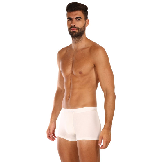 3PACK ανδρικό σορτς μποξεράκι Calvin Klein πολύχρωμο (NB2970A-GYO)