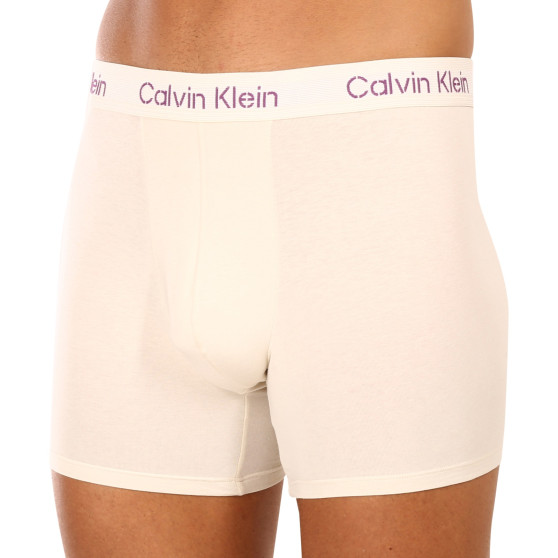 3PACK ανδρικό σορτς μποξεράκι Calvin Klein πολύχρωμο (NB3706A-FZ4)