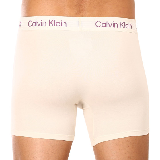 3PACK ανδρικό σορτς μποξεράκι Calvin Klein πολύχρωμο (NB3706A-FZ4)