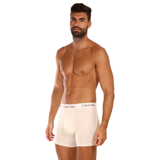 3PACK ανδρικό σορτς μποξεράκι Calvin Klein πολύχρωμο (NB3706A-FZ4)