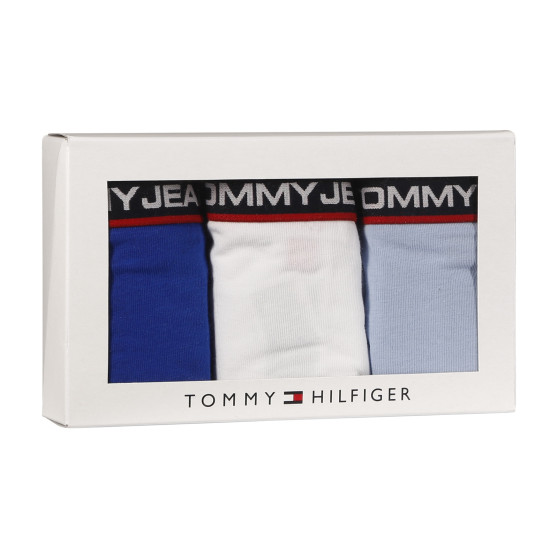 3PACK γυναικείο εσώρουχο Tommy Hilfiger πολύχρωμο (UW0UW04710 0SQ)