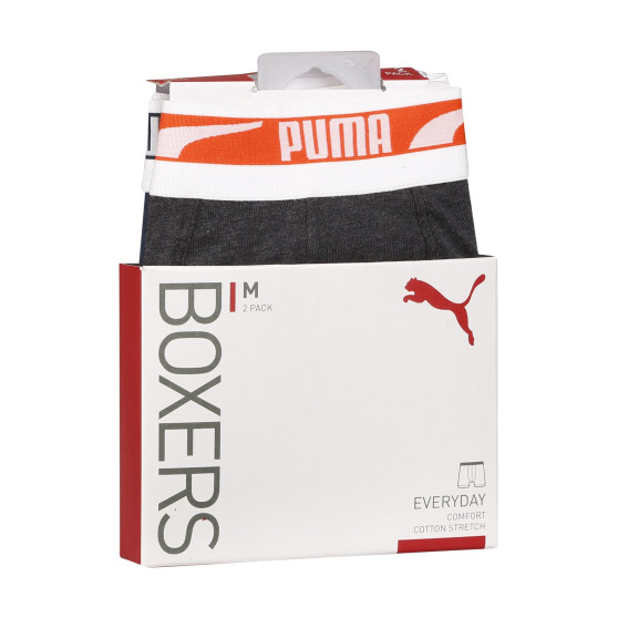 2PACK ανδρικό σορτς μποξεράκι Puma πολύχρωμο (701221416 007)