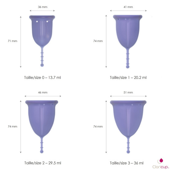 Κύπελλο περιόδου Claricup Violet 3 (CLAR08)