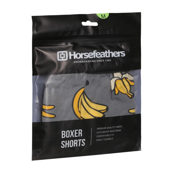 Ανδρικό σορτς Horsefeathers Frazier Bananas (AM166I)