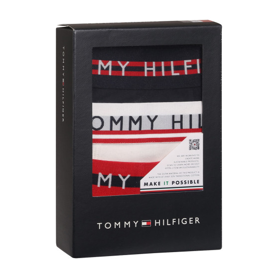 3PACK ανδρικό σορτς μποξεράκι Tommy Hilfiger πολύχρωμο (UM0UM03007 0X0)