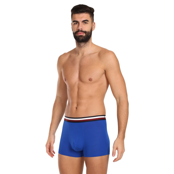 3PACK ανδρικό σορτς μποξεράκι Tommy Hilfiger πολύχρωμο (UM0UM03035 0UG)