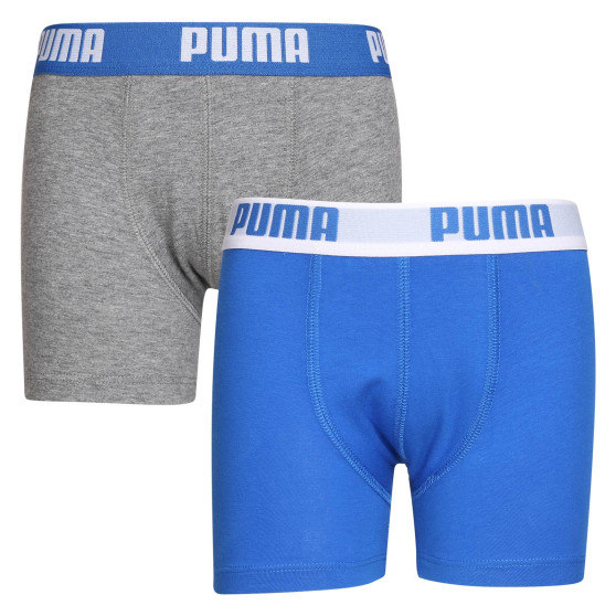 2PACK αγόρια μποξεράκια Puma πολύχρωμα (701219336 417)