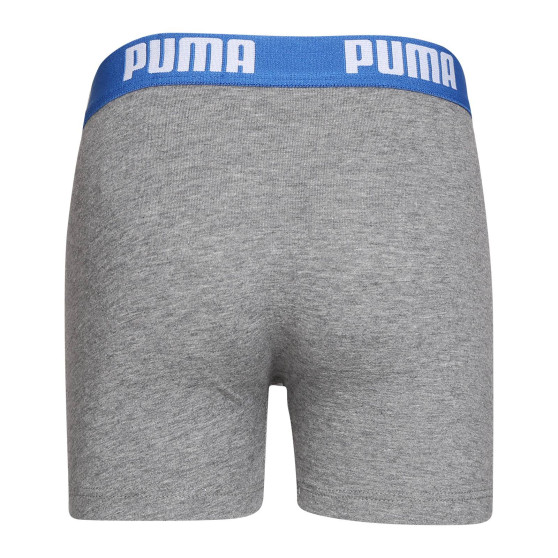 2PACK αγόρια μποξεράκια Puma πολύχρωμα (701219336 417)