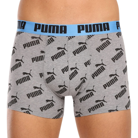 2PACK ανδρικό σορτς μποξεράκι Puma πολύχρωμο (100001512 013)