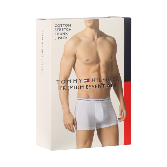 3PACK ανδρικό σορτς μποξεράκι Tommy Hilfiger πολύχρωμο (1U87903842 611)