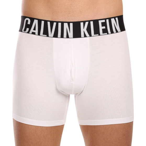 3PACK ανδρικό σορτς μποξεράκι Calvin Klein πολύχρωμο (NB3609A-MP1)