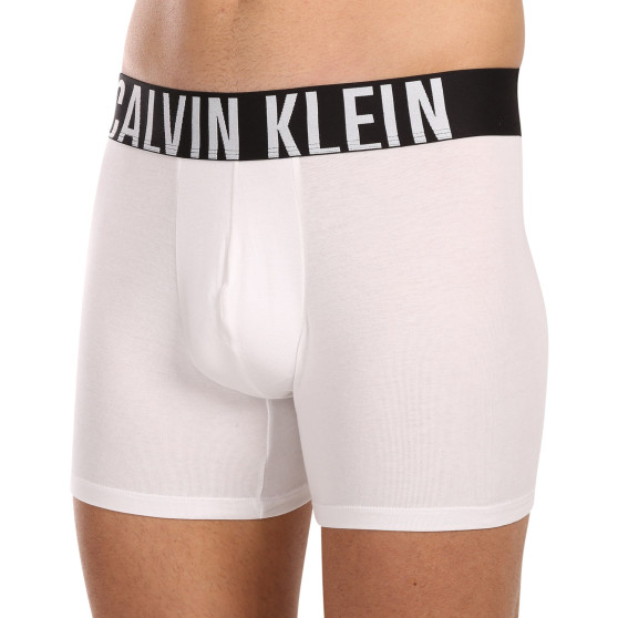 3PACK ανδρικό σορτς μποξεράκι Calvin Klein πολύχρωμο (NB3609A-MP1)