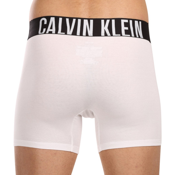 3PACK ανδρικό σορτς μποξεράκι Calvin Klein πολύχρωμο (NB3609A-MP1)