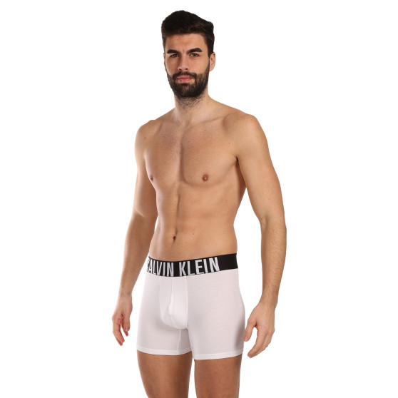 3PACK ανδρικό σορτς μποξεράκι Calvin Klein πολύχρωμο (NB3609A-MP1)