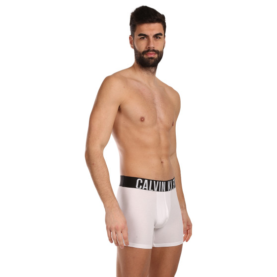 3PACK ανδρικό σορτς μποξεράκι Calvin Klein πολύχρωμο (NB3609A-MP1)