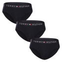 3PACK ανδρικό σλιπ Tommy Hilfiger μπλε (UM0UM03182 0SY)