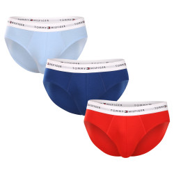 3PACK ανδρικό σλιπ Tommy Hilfiger πολύχρωμο (UM0UM02764 0XZ)