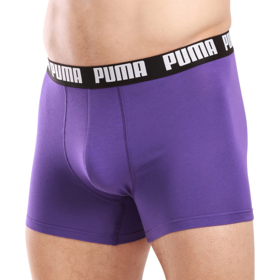 2PACK ανδρικό σορτς μποξεράκι Puma πολύχρωμο (701226387 015)