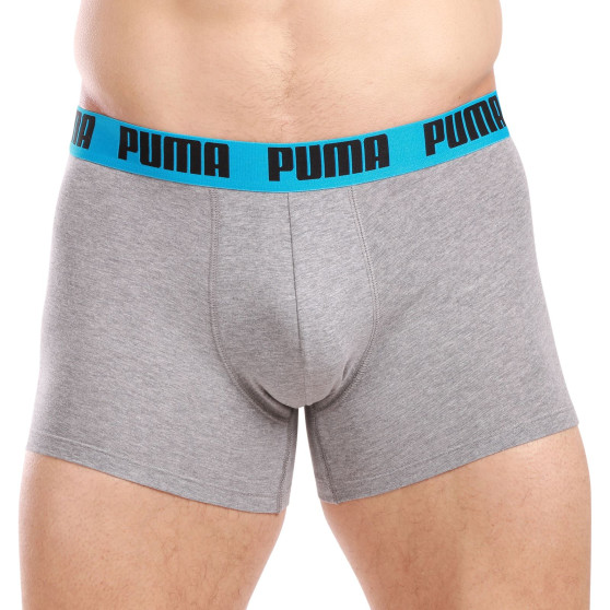 2PACK ανδρικό σορτς μποξεράκι Puma πολύχρωμο (701226387 019)