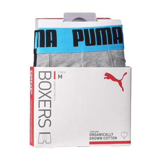 2PACK ανδρικό σορτς μποξεράκι Puma πολύχρωμο (701226387 019)