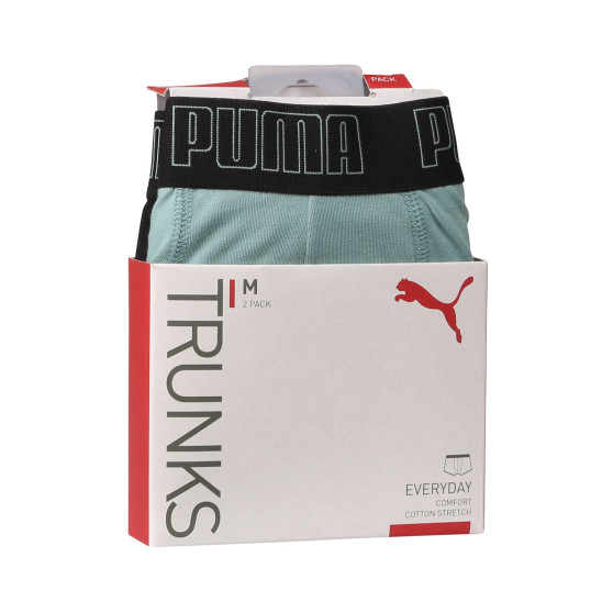 2PACK ανδρικό σορτς μποξεράκι Puma πολύχρωμο (100000884 054)