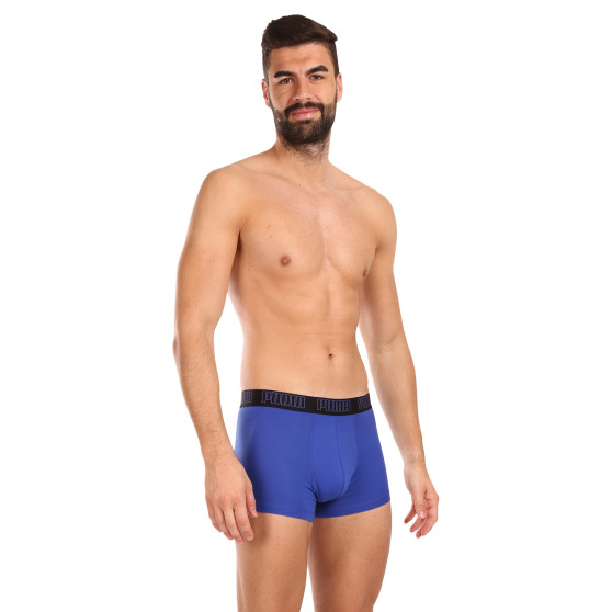 2PACK ανδρικό σορτς μποξεράκι Puma πολύχρωμο (100000884 055)