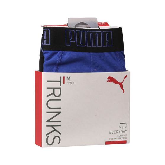 2PACK ανδρικό σορτς μποξεράκι Puma πολύχρωμο (100000884 055)